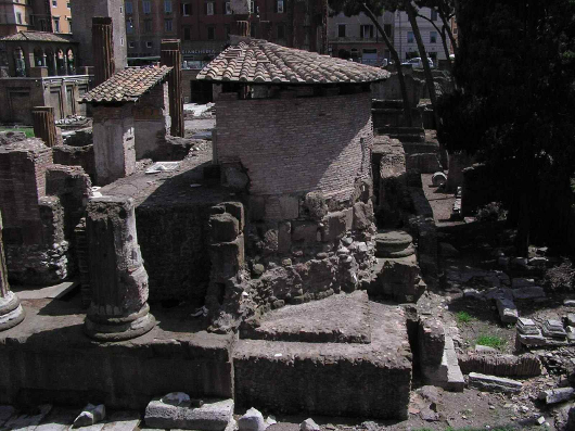 Rim 01