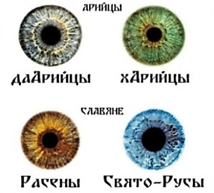 glaza